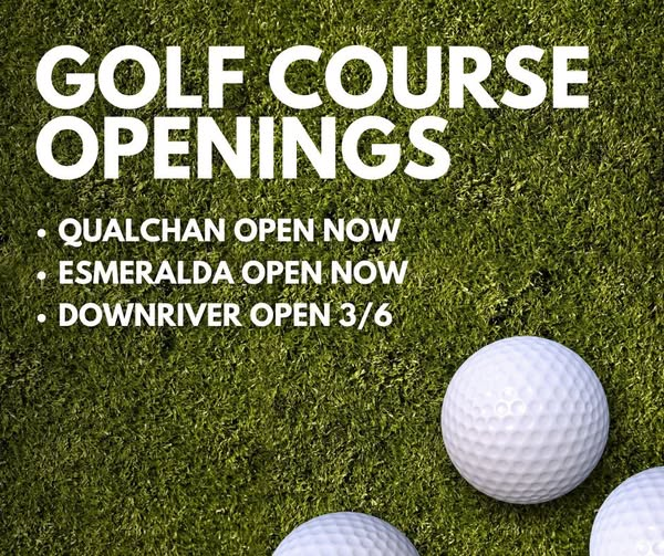 Photo of grass with three golf balls. 